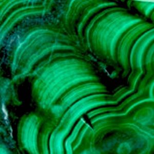 Meet your Posher, Alma l